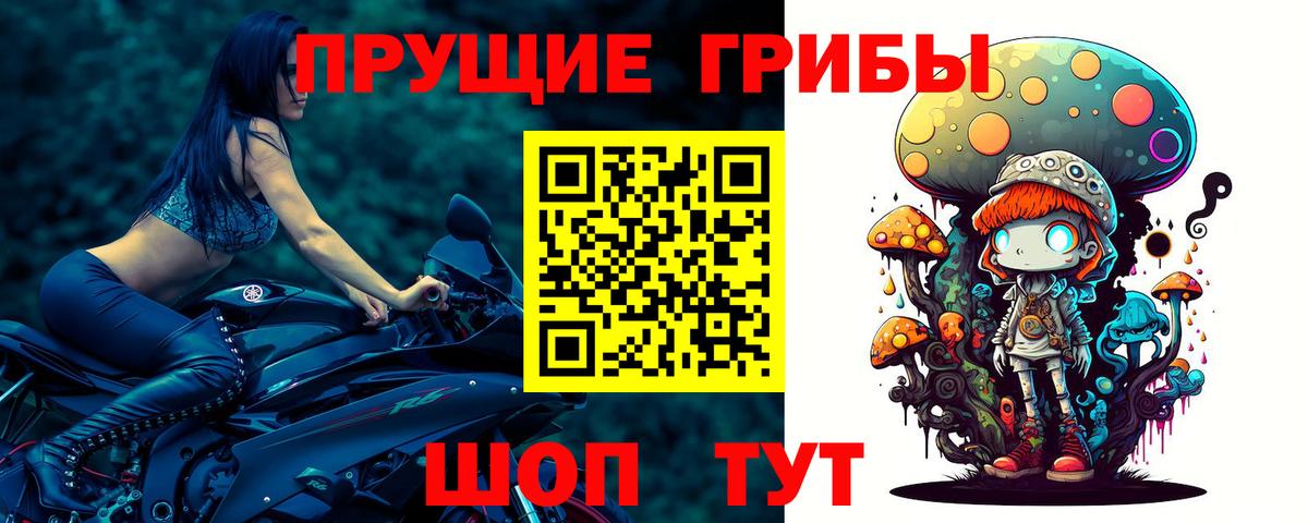 Псилоцибиновые грибы мицелий Рязань